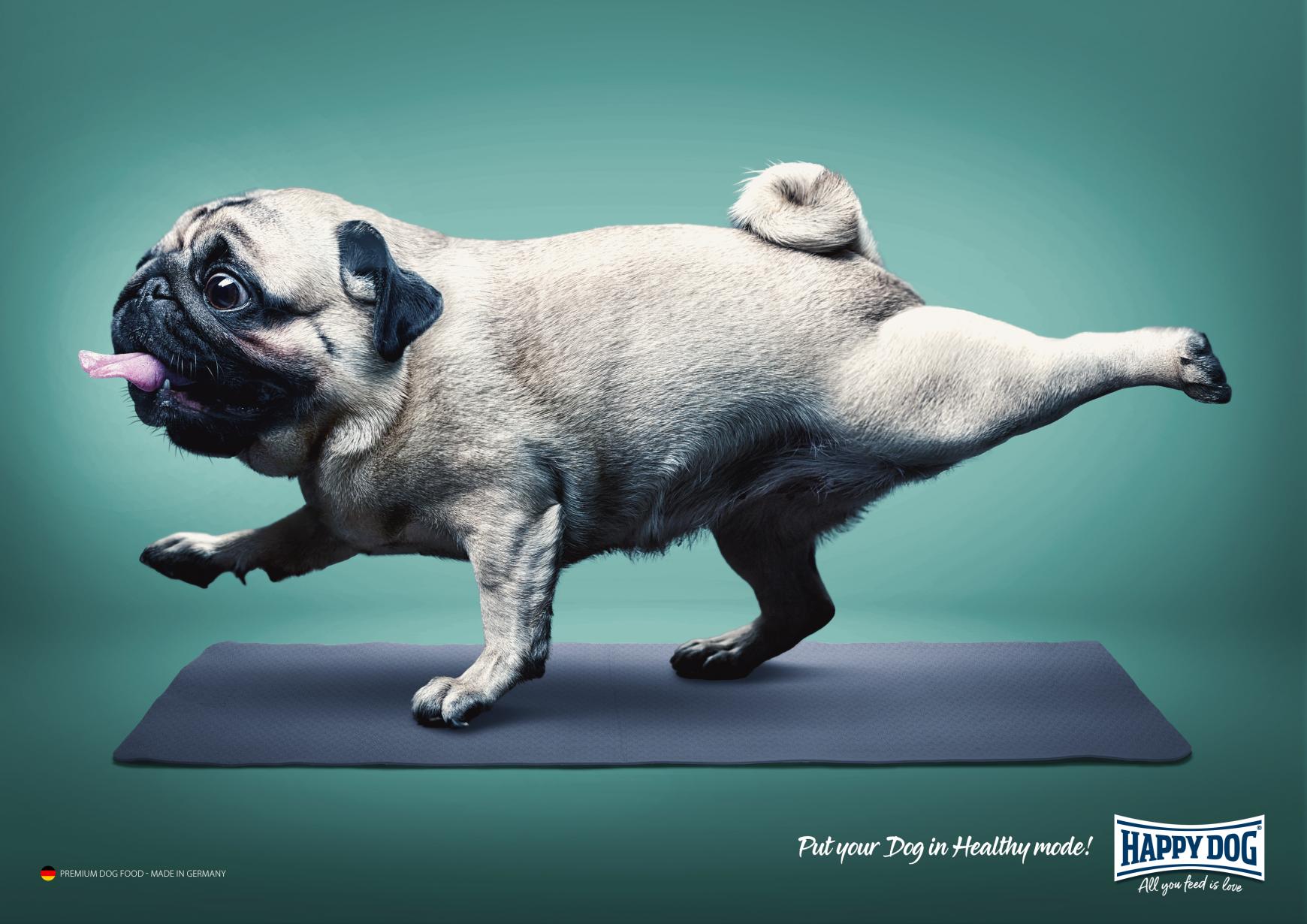 Happy Dog Print Ad - Healthy Mode