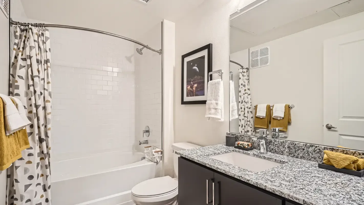 Bathroom with tub/shower, toilet, granite vanity, and towel rack.