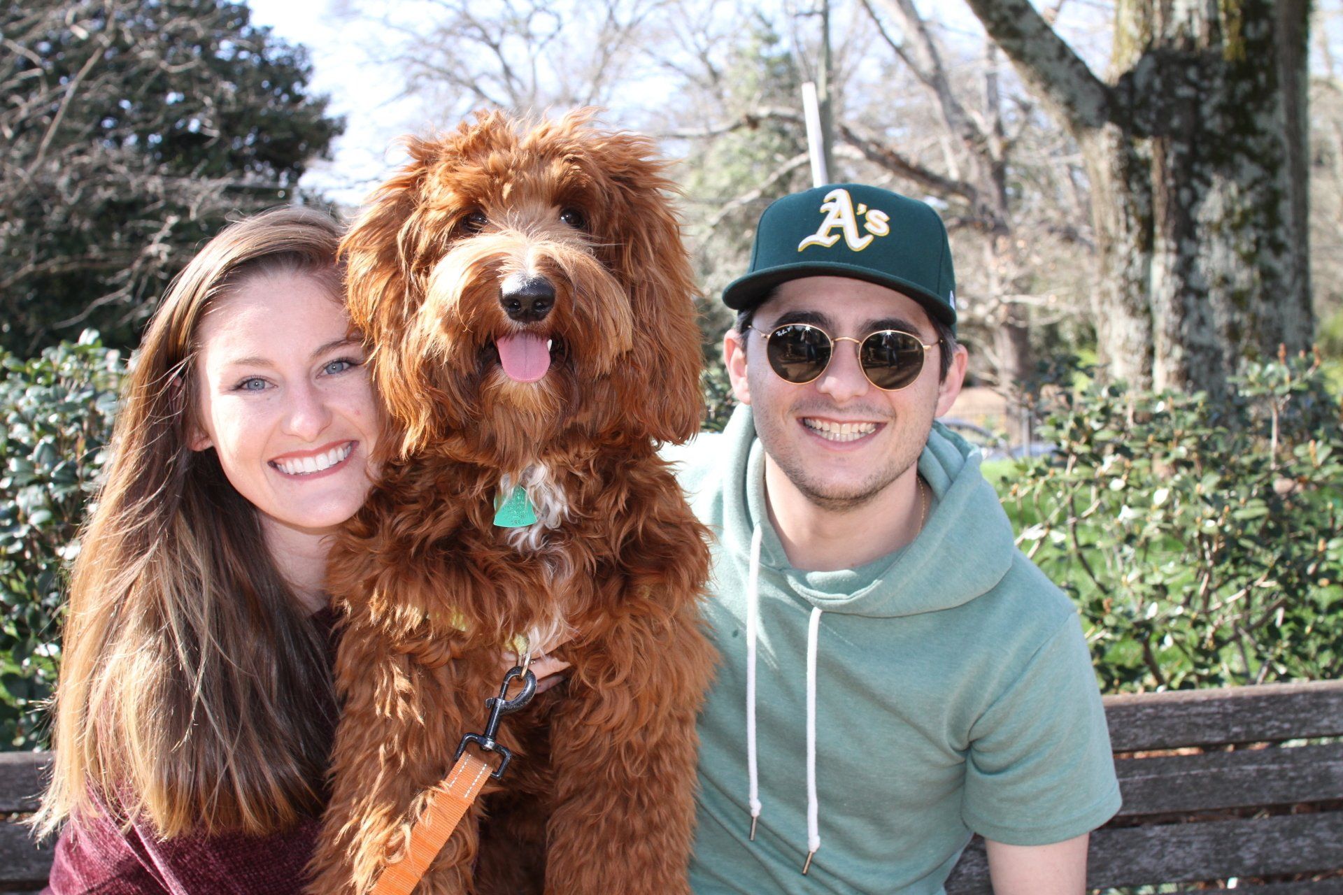 A man and a woman are sitting on a bench with a dog.