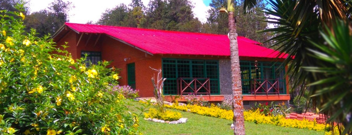 Una casa con techo rojo está rodeada de árboles y flores.