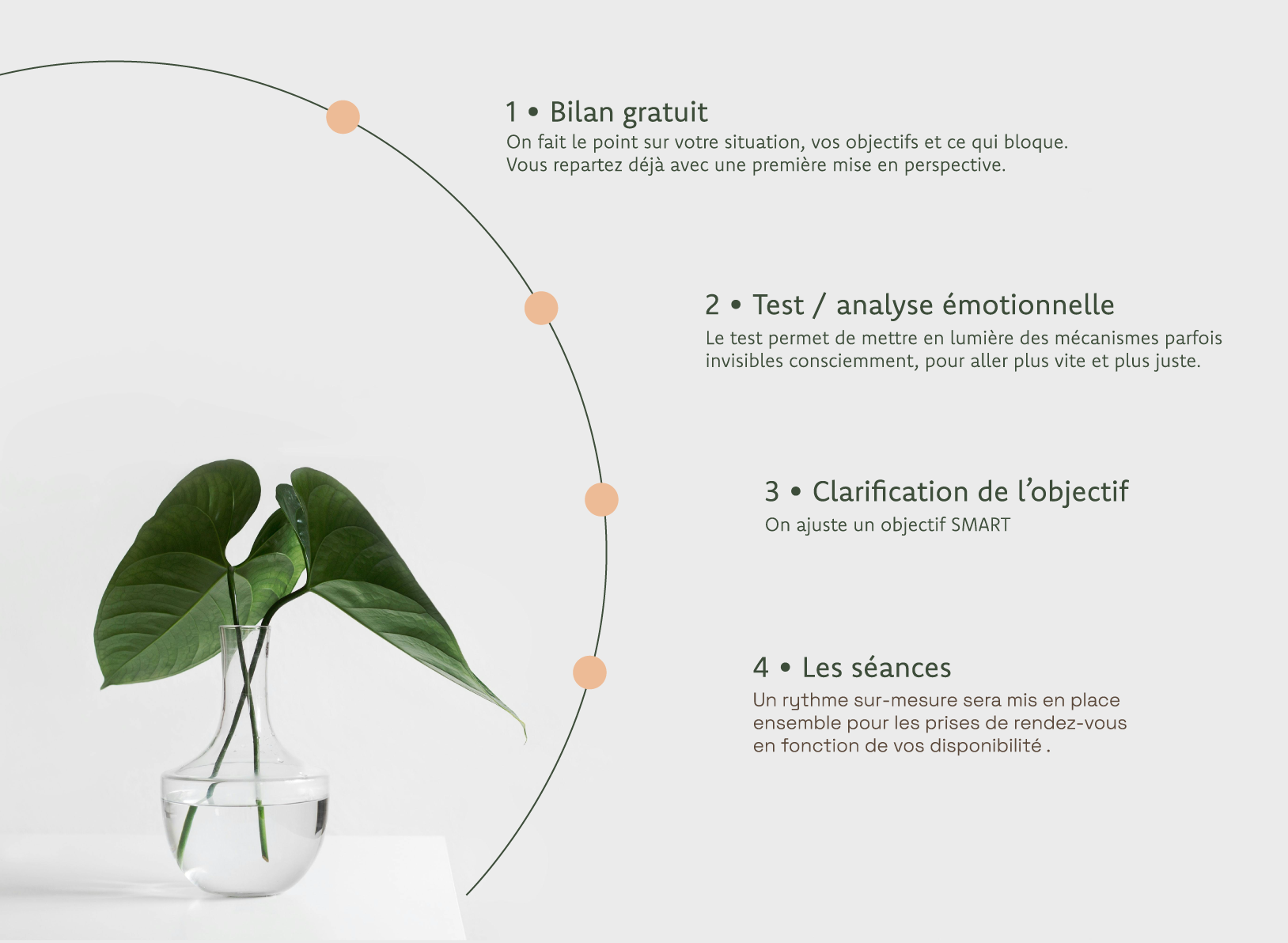 Monstera en pot à côté d'une chronologie en 4 étapes sur fond clair