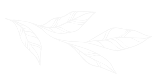 Légers contours de feuilles blanches sur un fond pâle