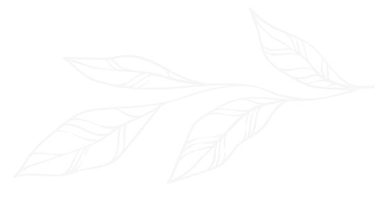 Feuilles blanches aux contours délicats sur fond clair, comme un subtil motif botanique