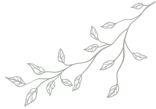 Dessin au trait gris simple d'une branche feuillue sur fond blanc