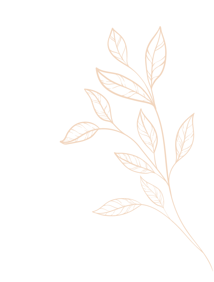 Dessin minimaliste au trait beige d'une branche feuillue sur fond blanc