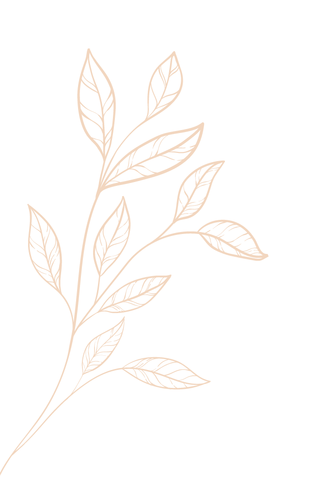 Feuilles beiges délicates dessinées au trait sur de fines branches, sur fond blanc.