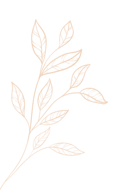 Feuilles beiges délicates dessinées au trait sur de fines branches, sur fond blanc.