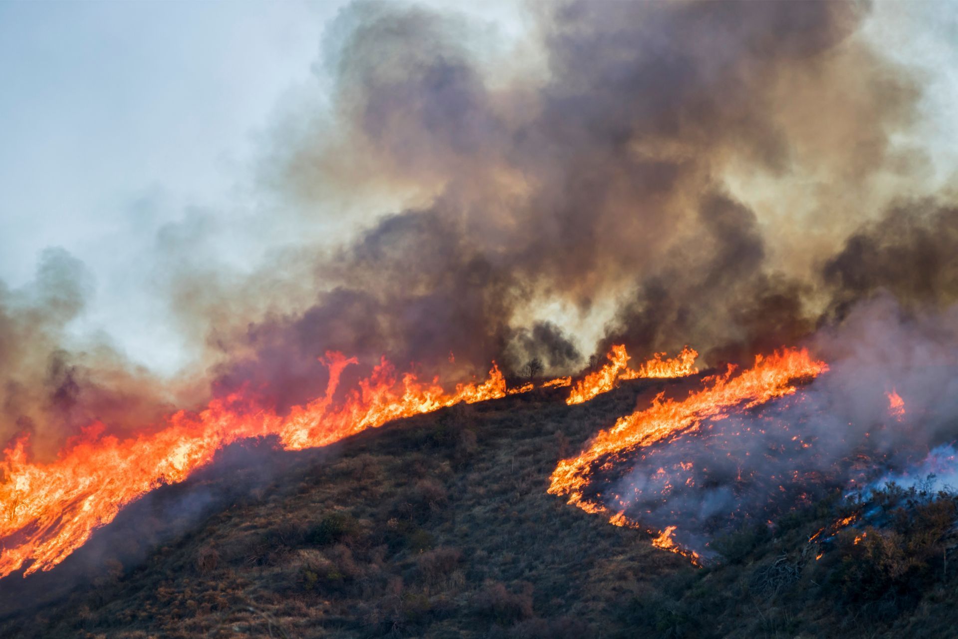 Wildfire ravages a hillside in San Bernardino, CA, with vibrant flames and smoke signaling danger an