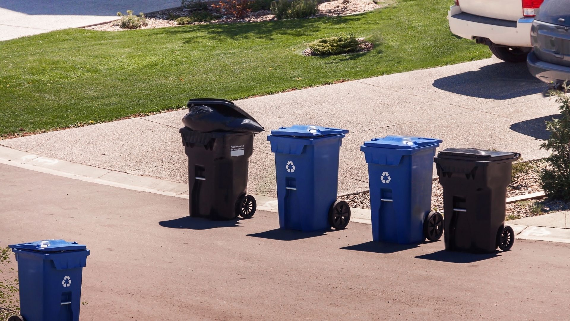 Garbage bin removal in fredericton
