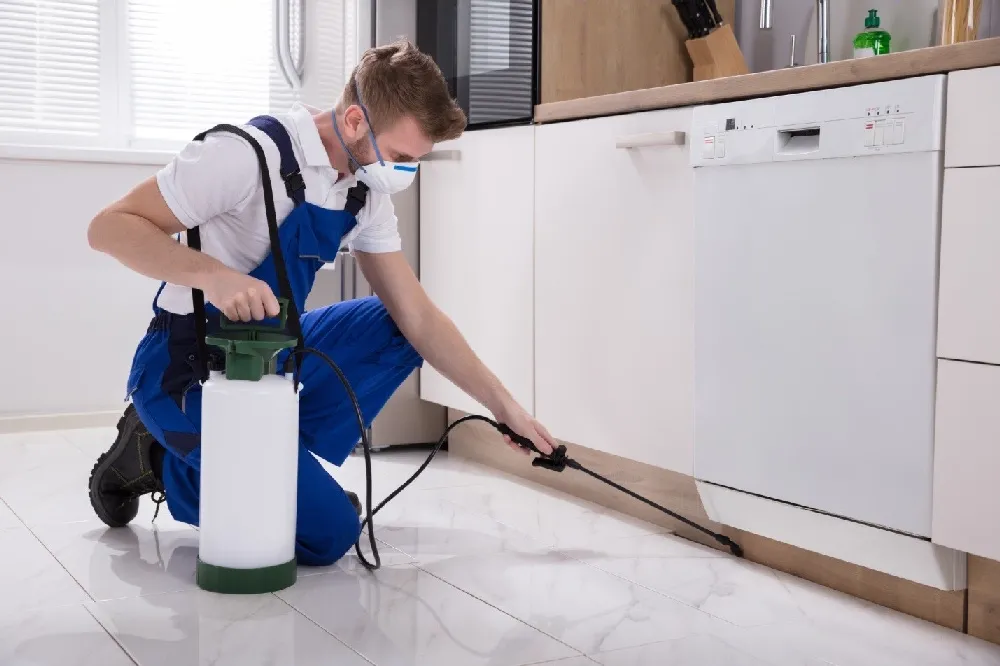 Home Inspections