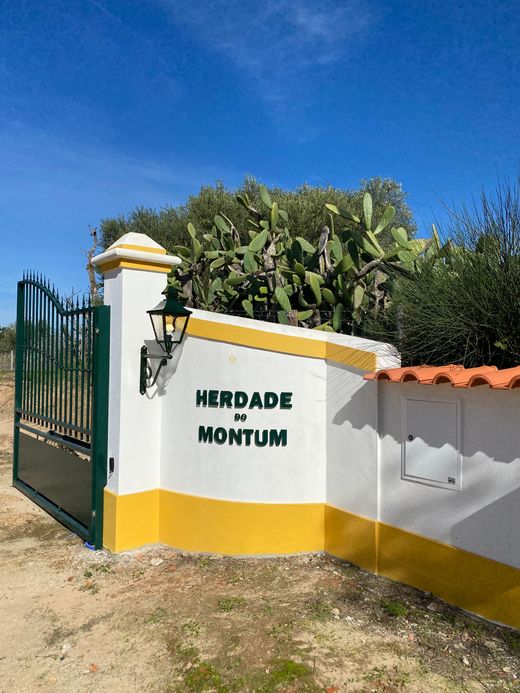 A white and yellow wall with the words herdade on it