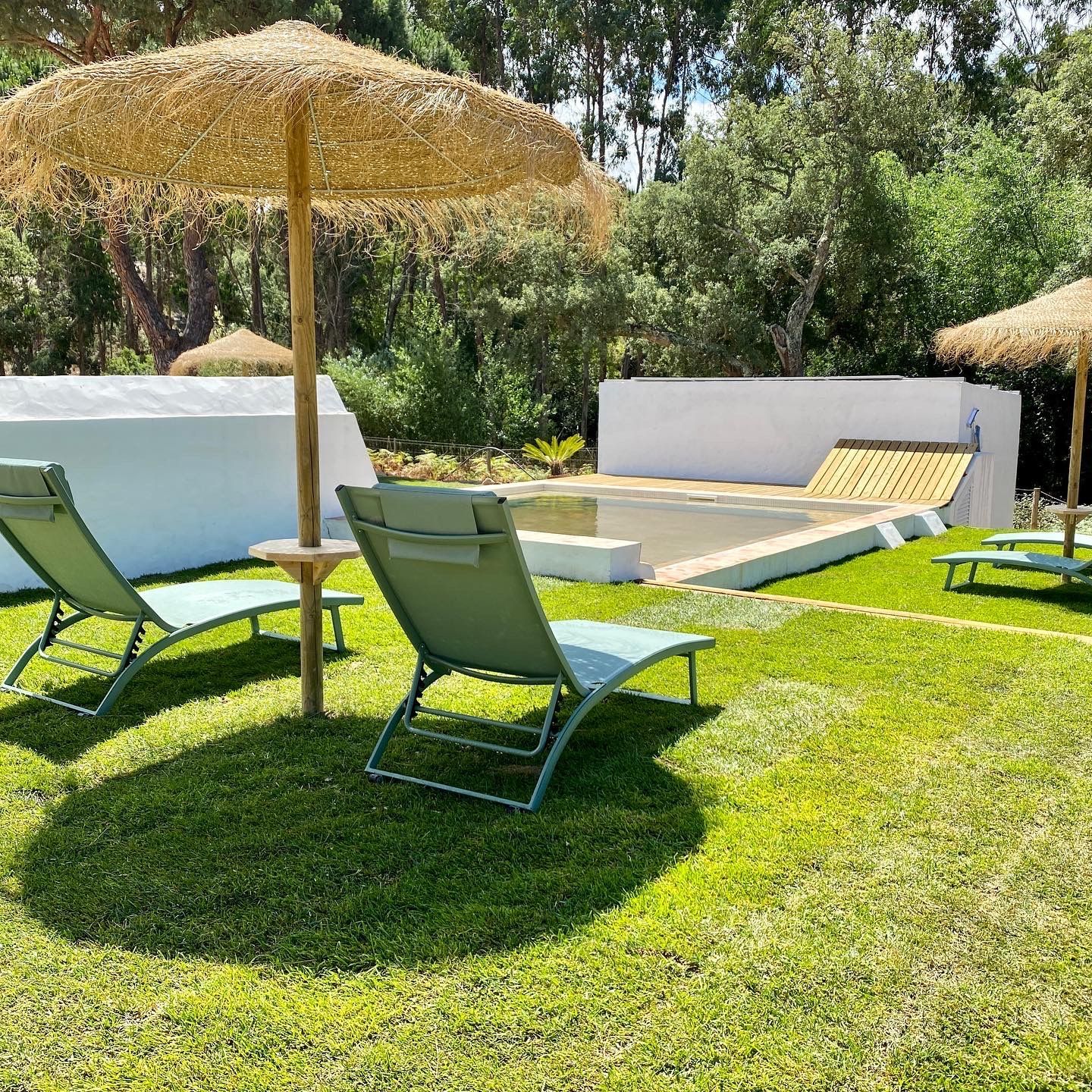 A lawn with chairs and umbrellas in front of a pool.