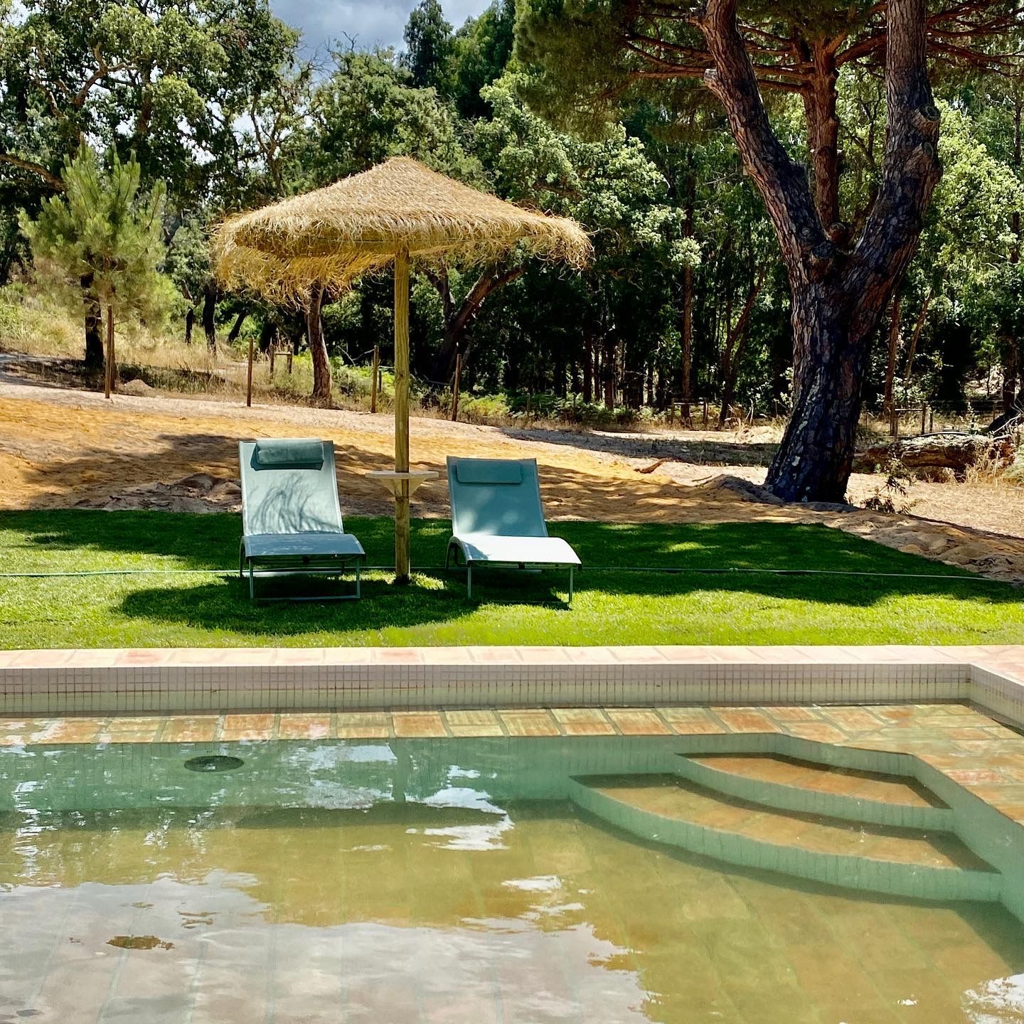 Two chairs under an umbrella next to a swimming pool