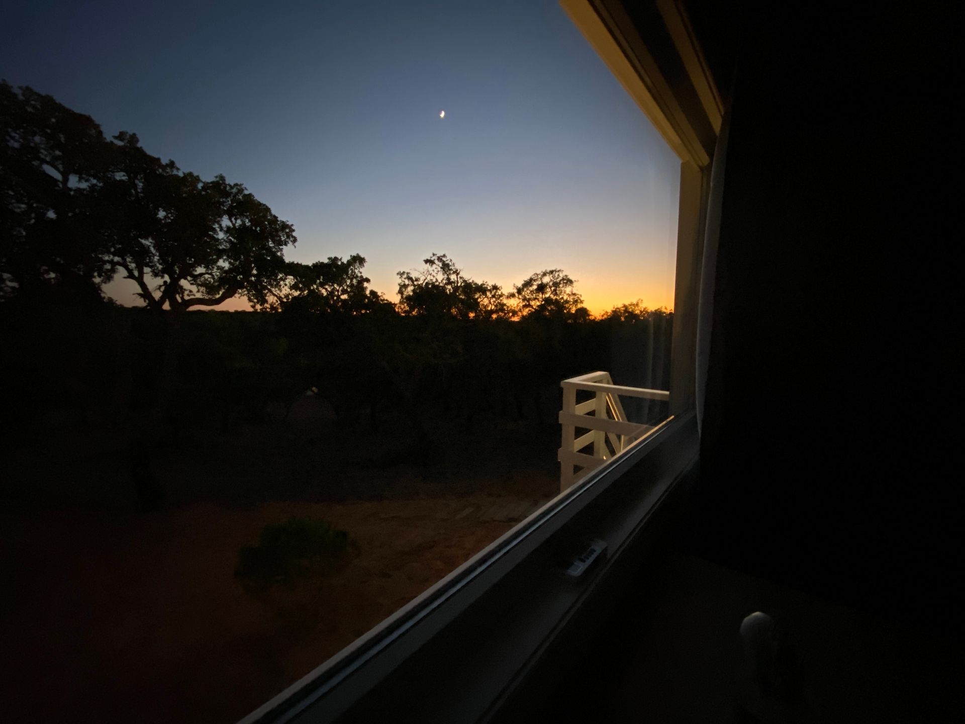 A view of a sunset through a window with trees in the background