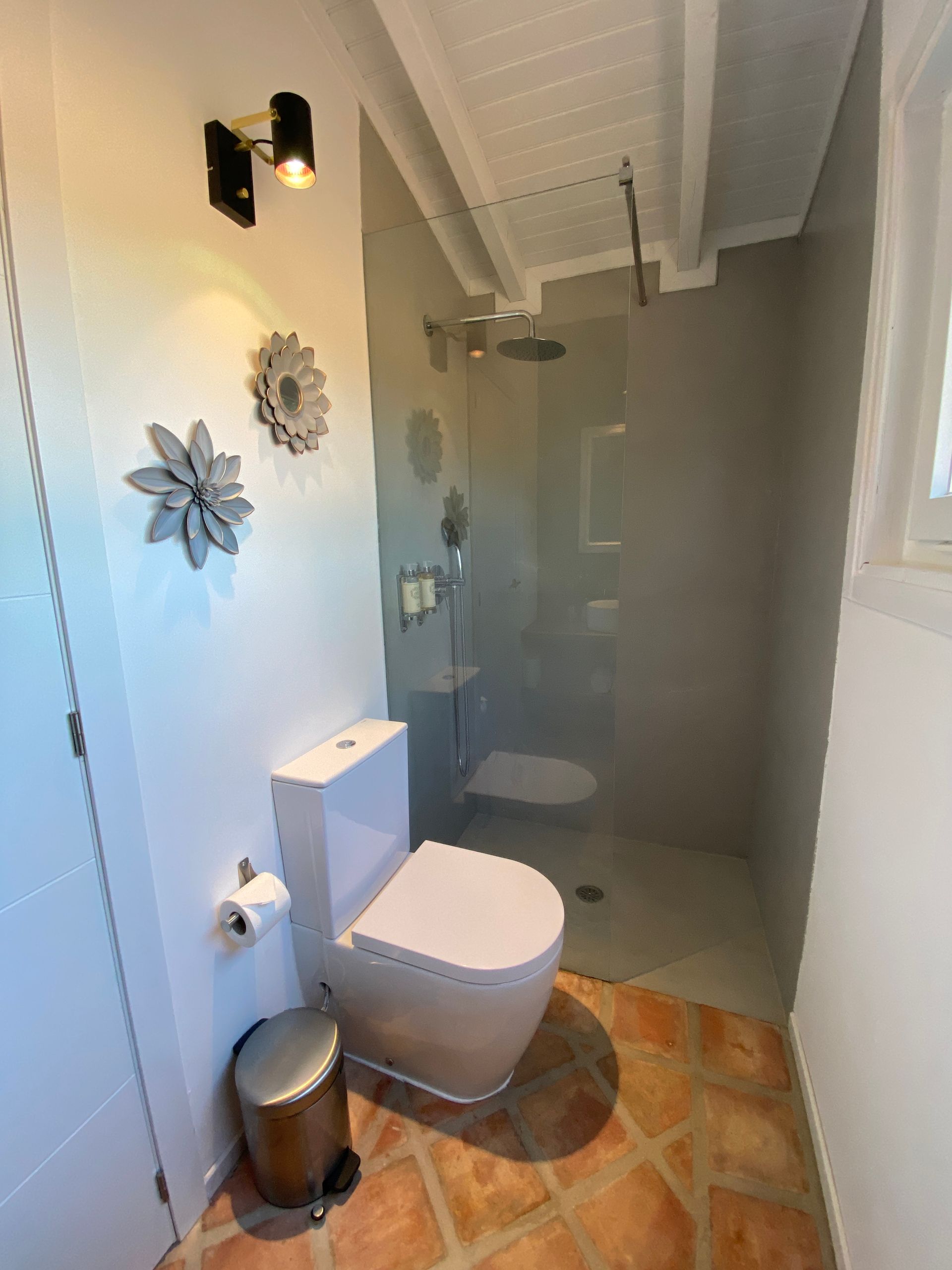 A bathroom with a toilet and a walk in shower.