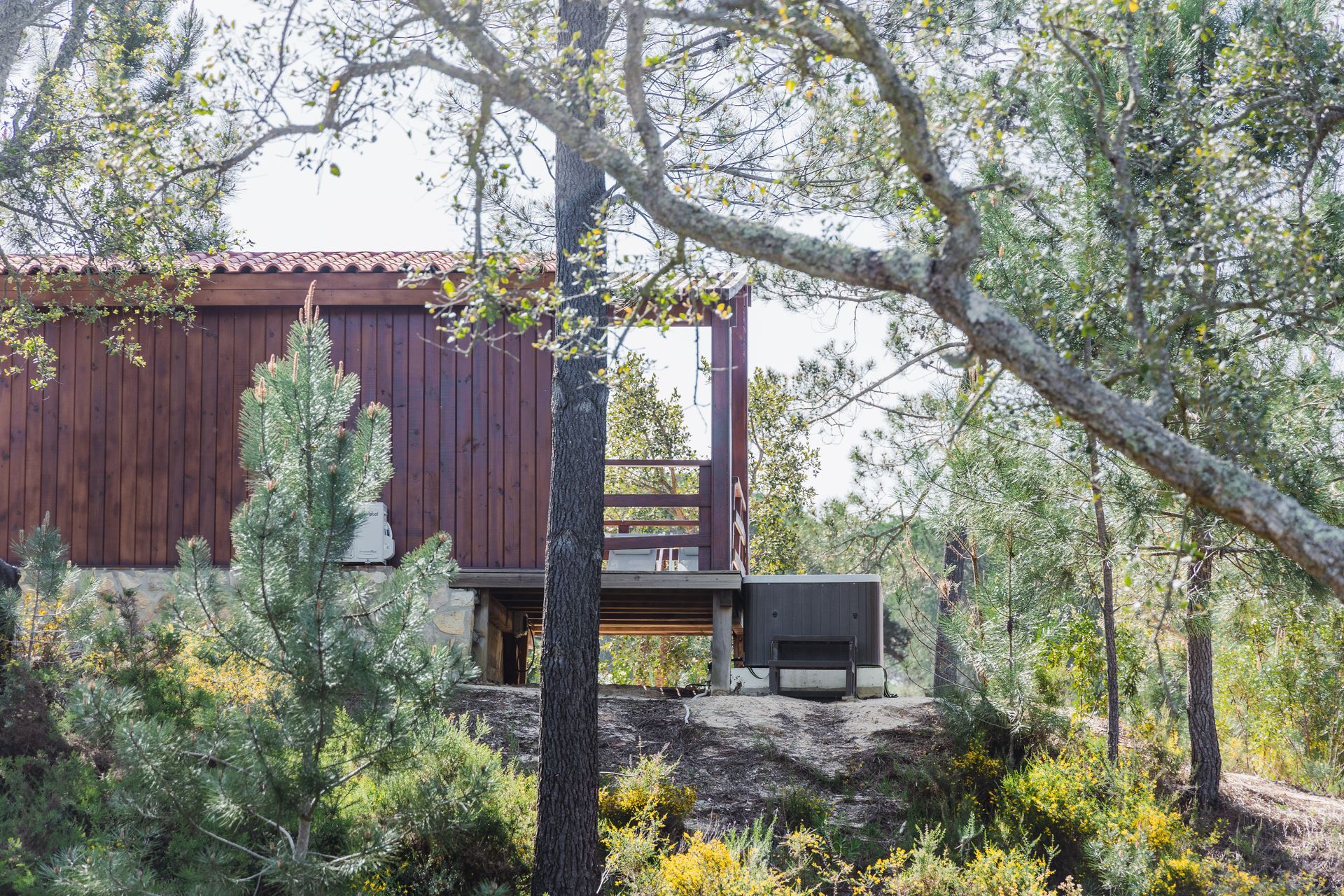 A small wooden house in the middle of a forest surrounded by trees.