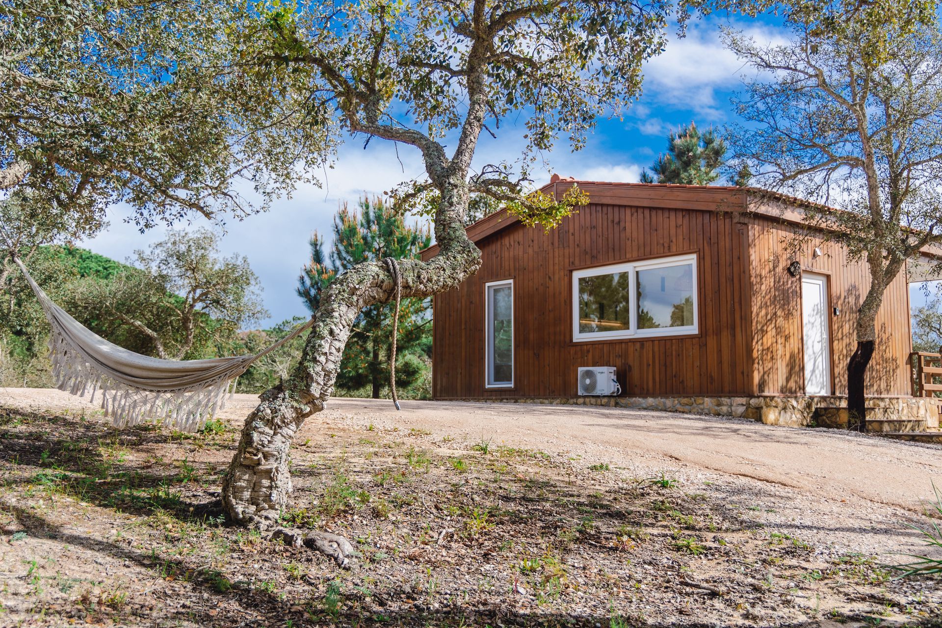 A wooden house with a hammock in front of it surrounded by trees.