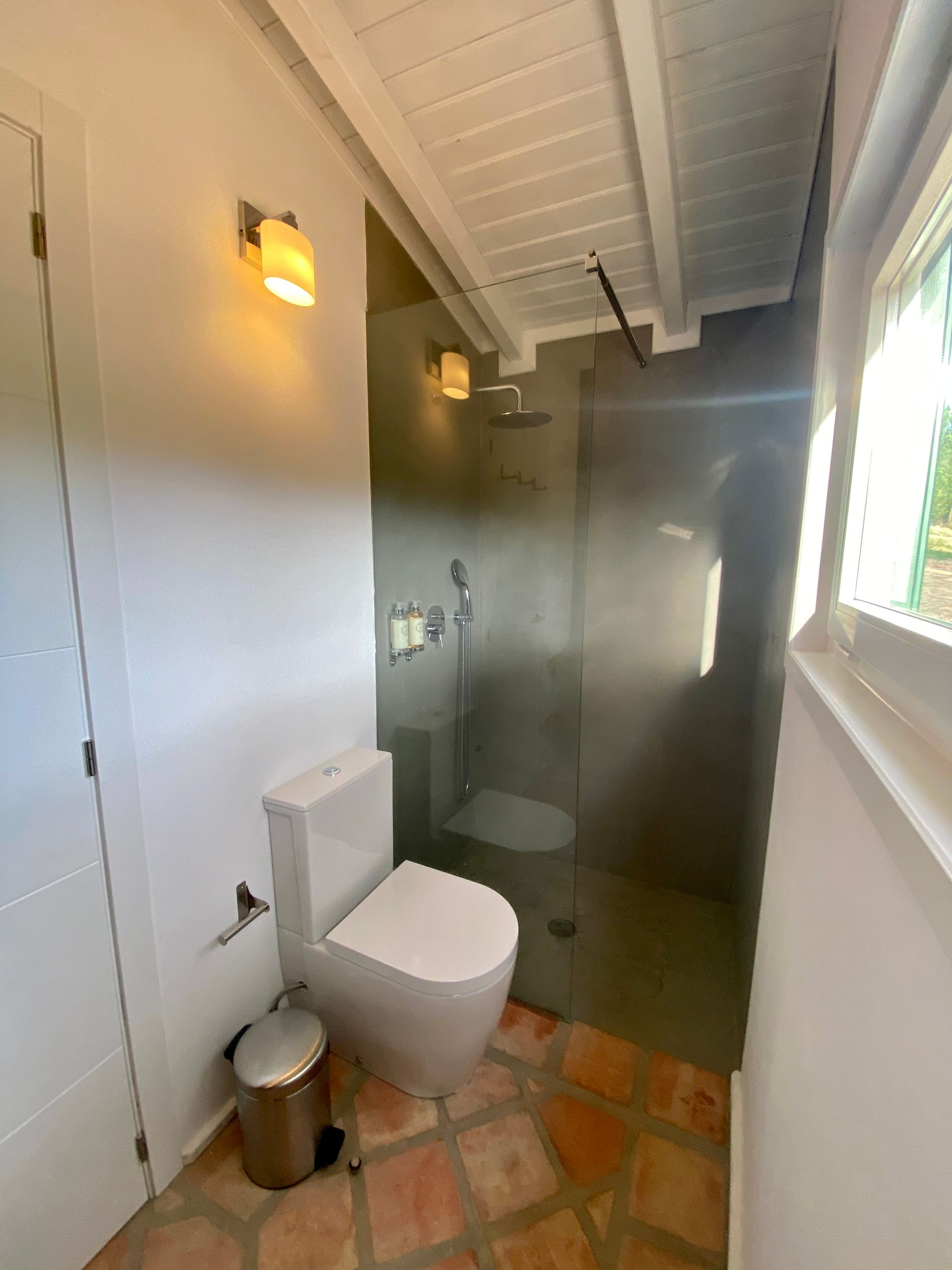 A bathroom with a toilet and a walk in shower.