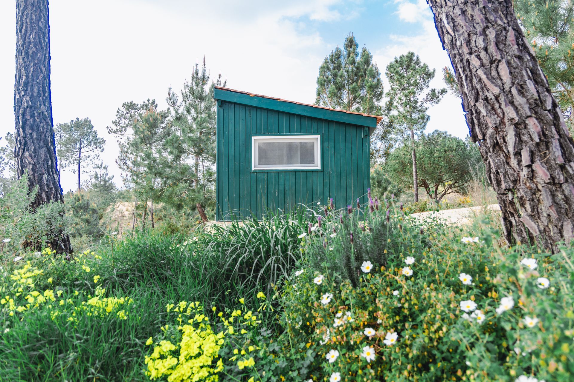 A green shed is surrounded by trees and flowers in a field.