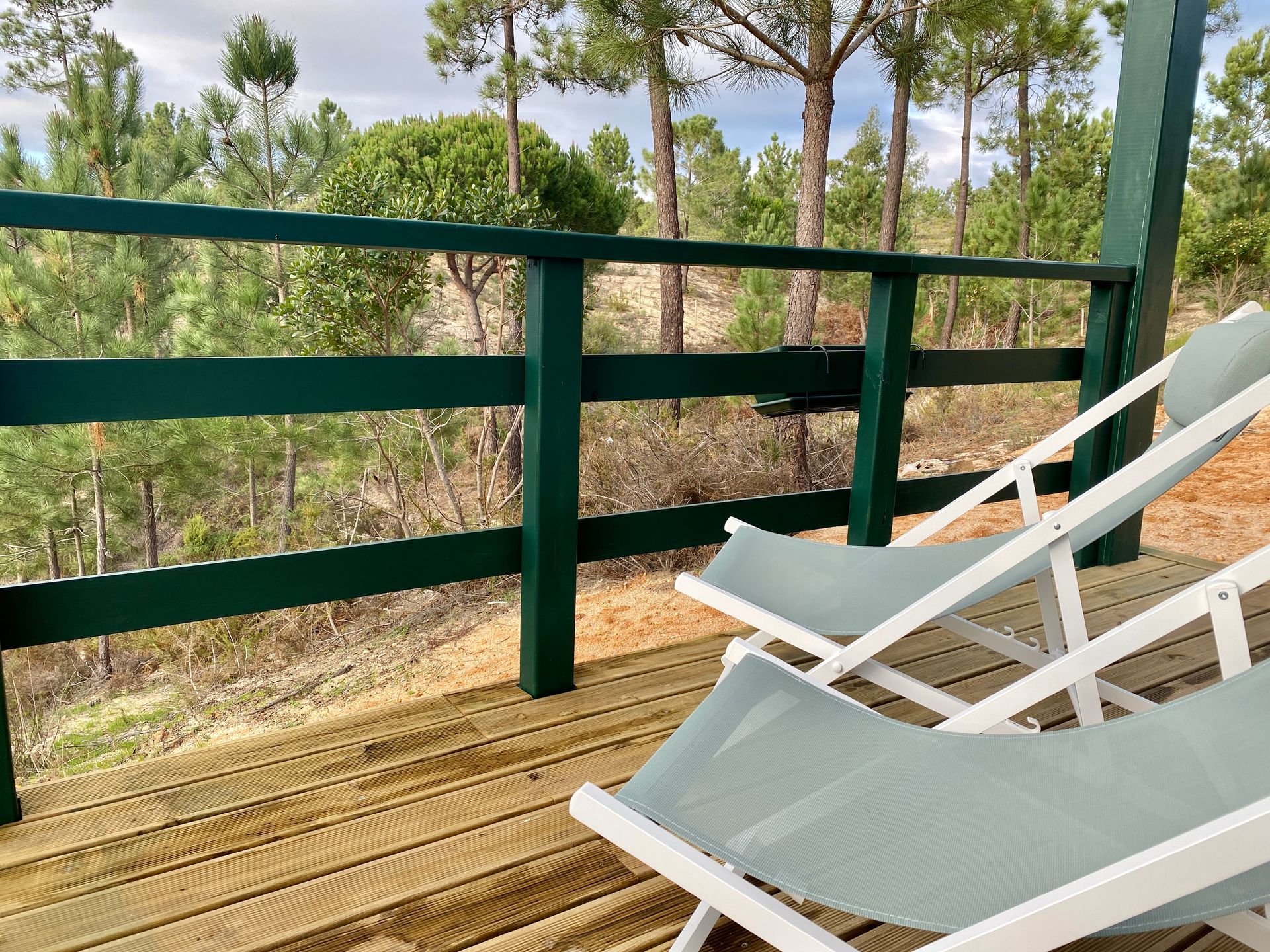 Two chairs are sitting on a wooden deck overlooking a forest.