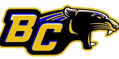 A logo for a sports team with a panther on it.