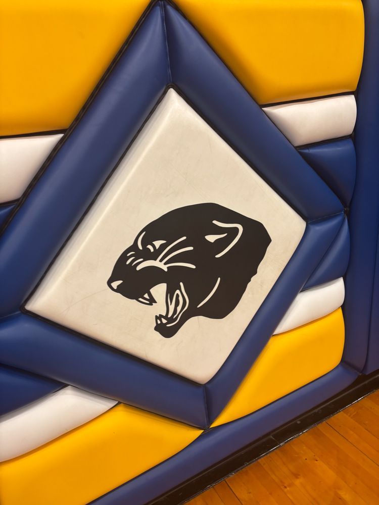 A picture of a panther on a blue and yellow wall