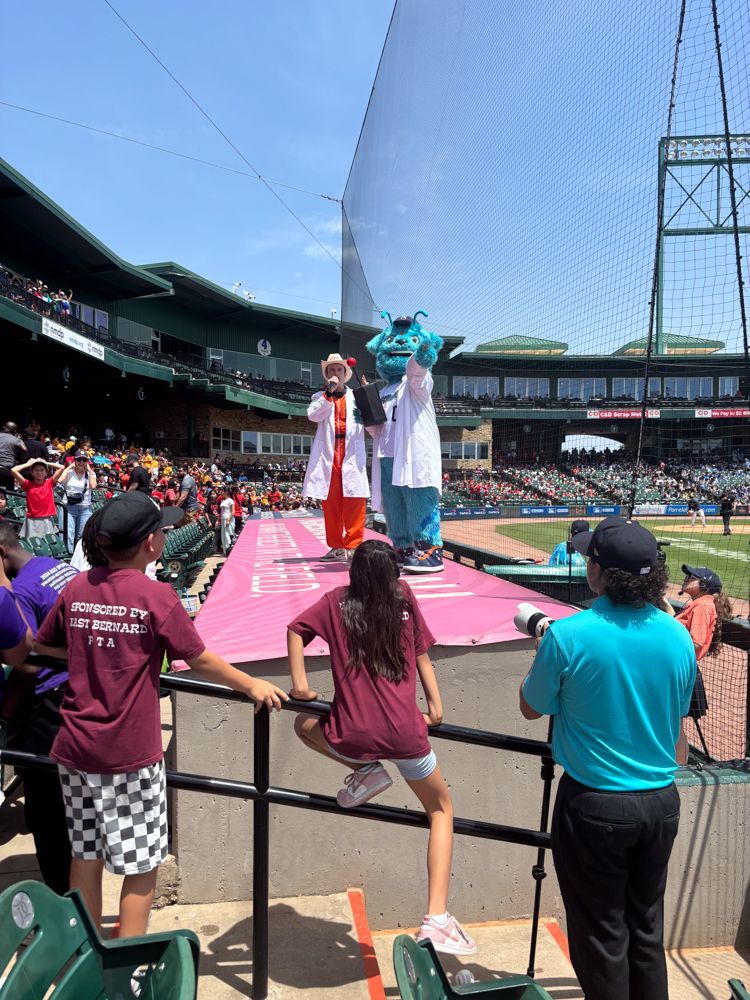 A group of people are standing in a stadium watching a baseball game.