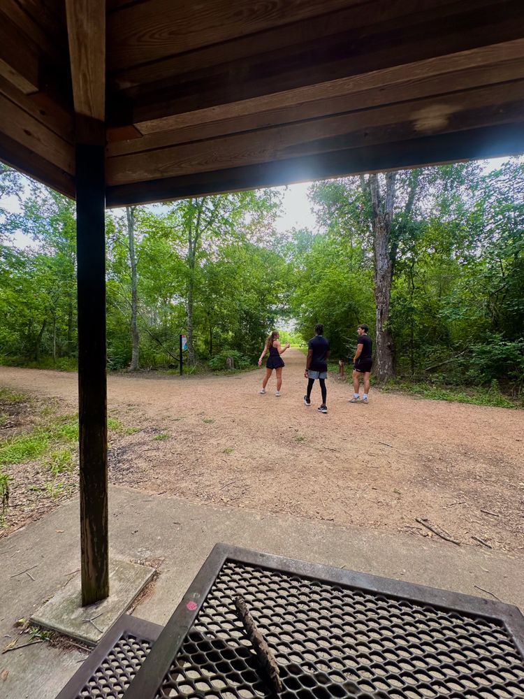 A group of people are playing volleyball under a pavilion in the woods.