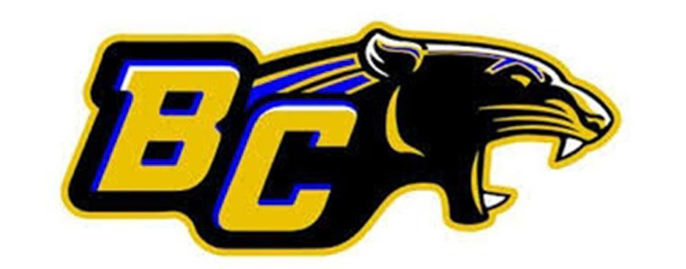 A black and yellow logo with a panther on it.