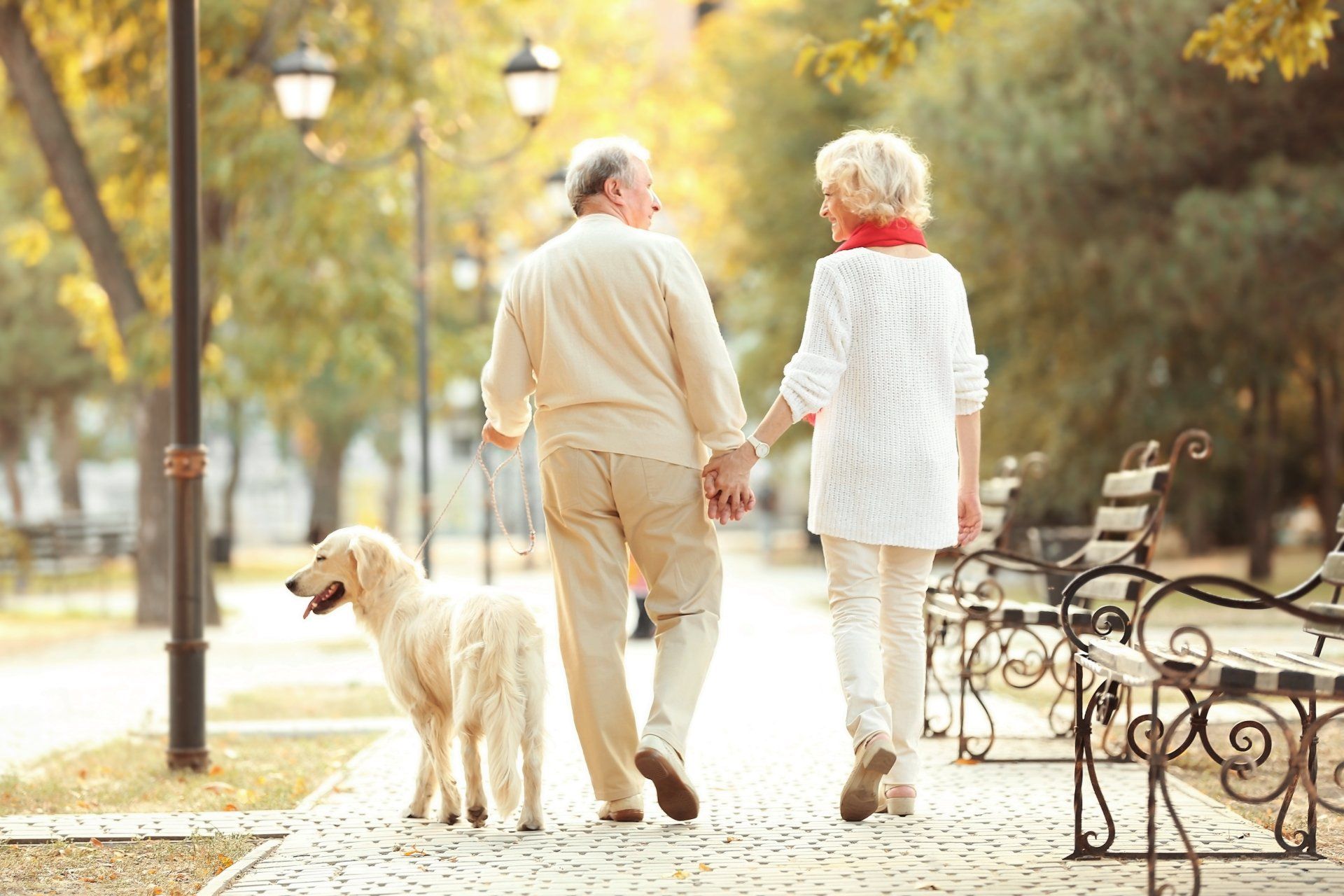 Senior Couple and Big Dog Walking in Park