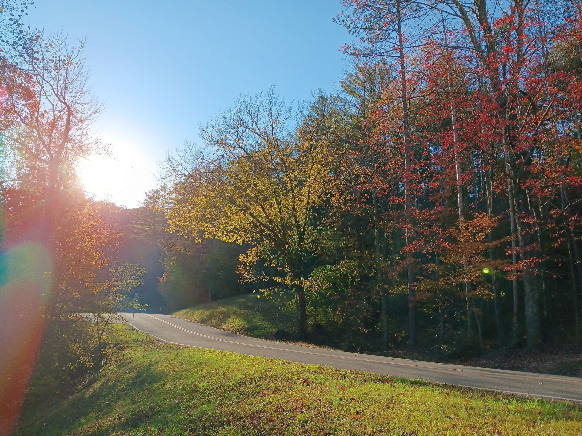 Sun shining over a paved path winding through trees with vibrant fall foliage.