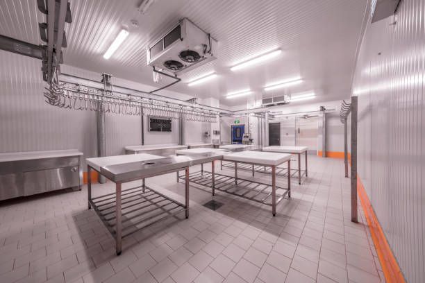 Bright, clean meat processing room with stainless steel tables, overhead hooks, and refrigeration units.