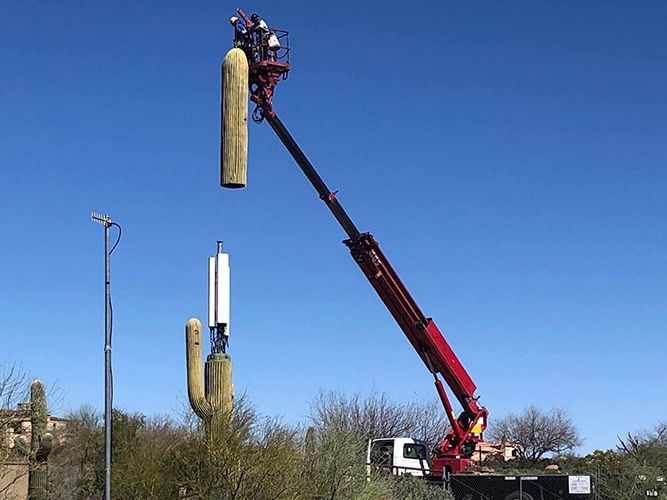 Zendmast met cactus-camouflage