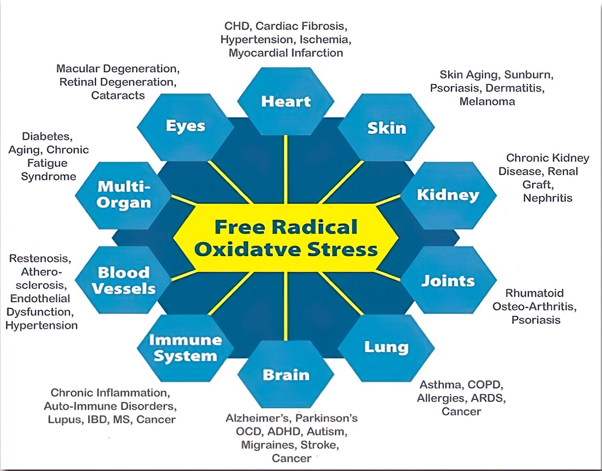 Een diagram dat de vele effecten van oxidatieve stress door vrije radicalen op ons organisme laat zien.