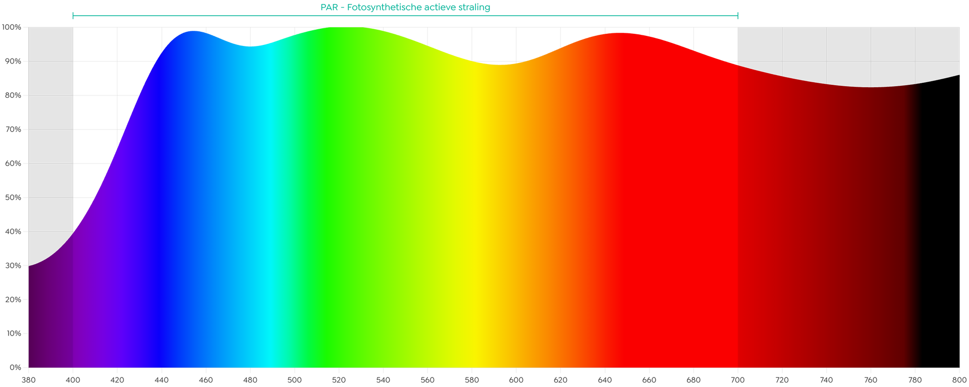 spectrum zonlicht Feb. 2025