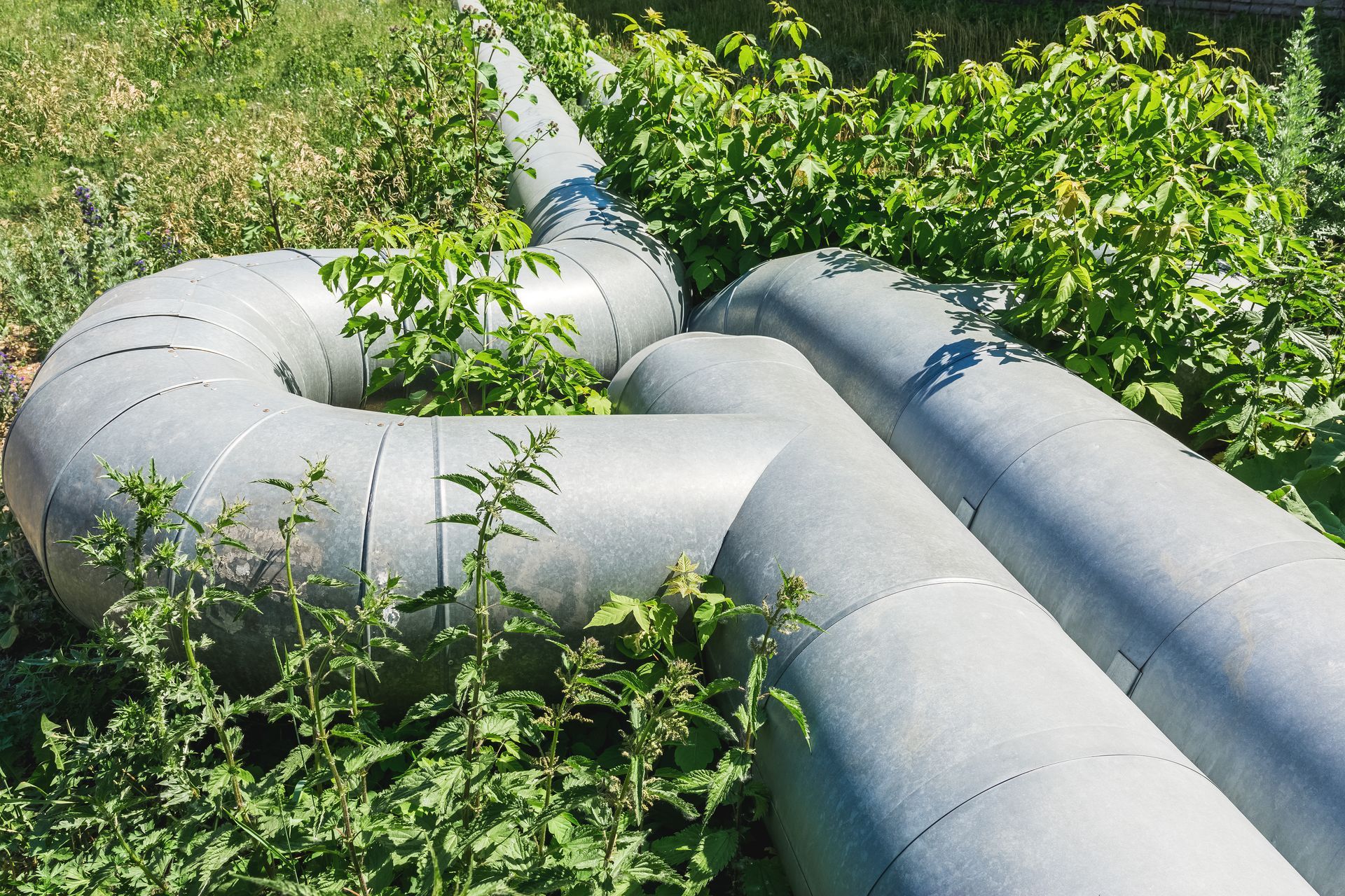 A bunch of pipes are sitting in the grass.