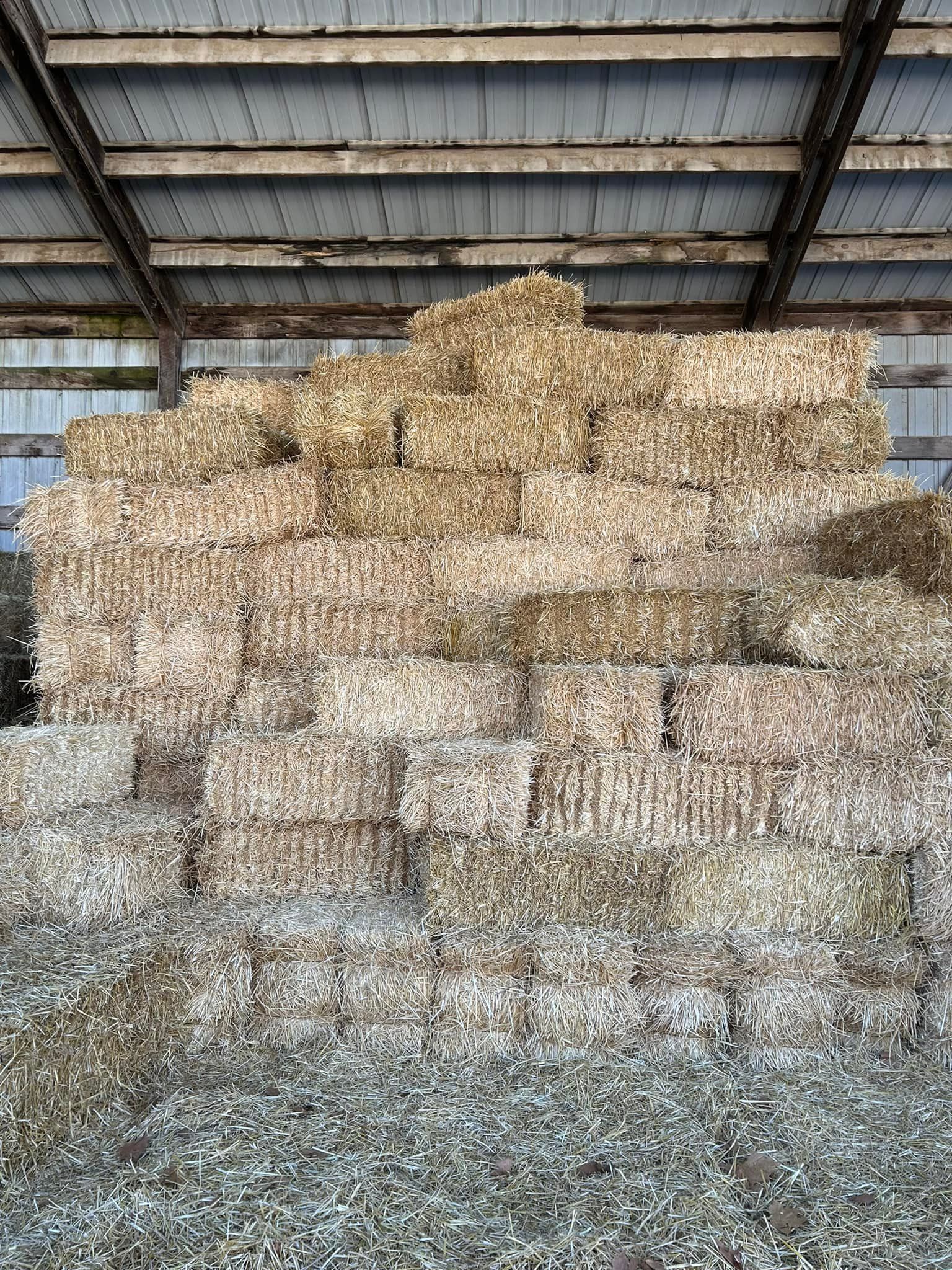 Stack of rectangular straw bales inside a barn with a metal roof.