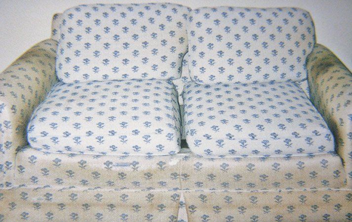 Upholstery Cleaning  - Maintenance Services in Kendall Park, NJ