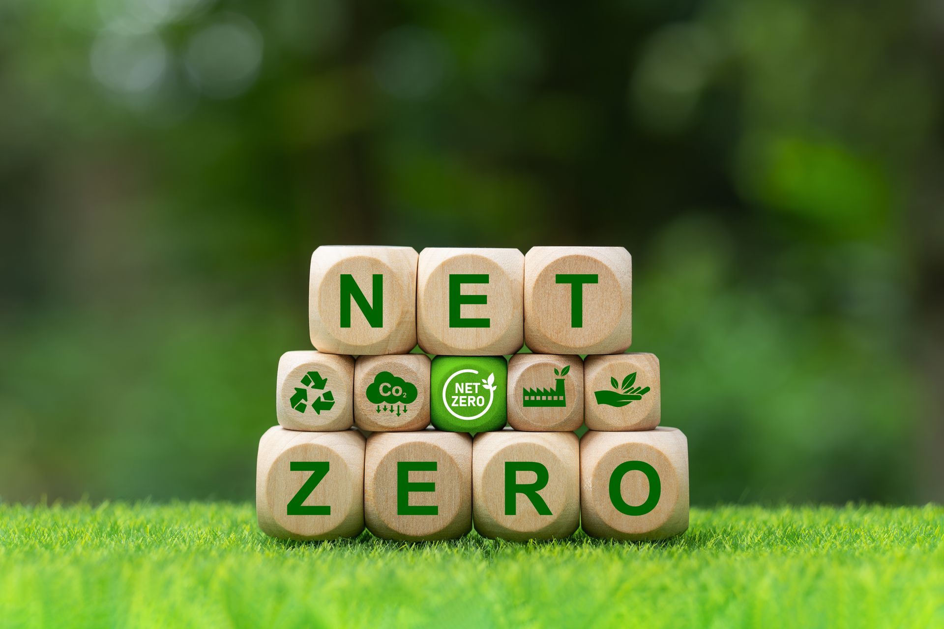 綠草地上,木塊上寫著「NET ZERO」字樣,並有環保圖示。