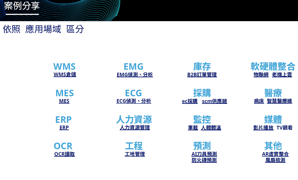 按領域對應用程式進行分類的圖表,具有 WMS、EMG、ECG、ERP 和 OCR 等選項。
