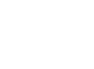 icona logo