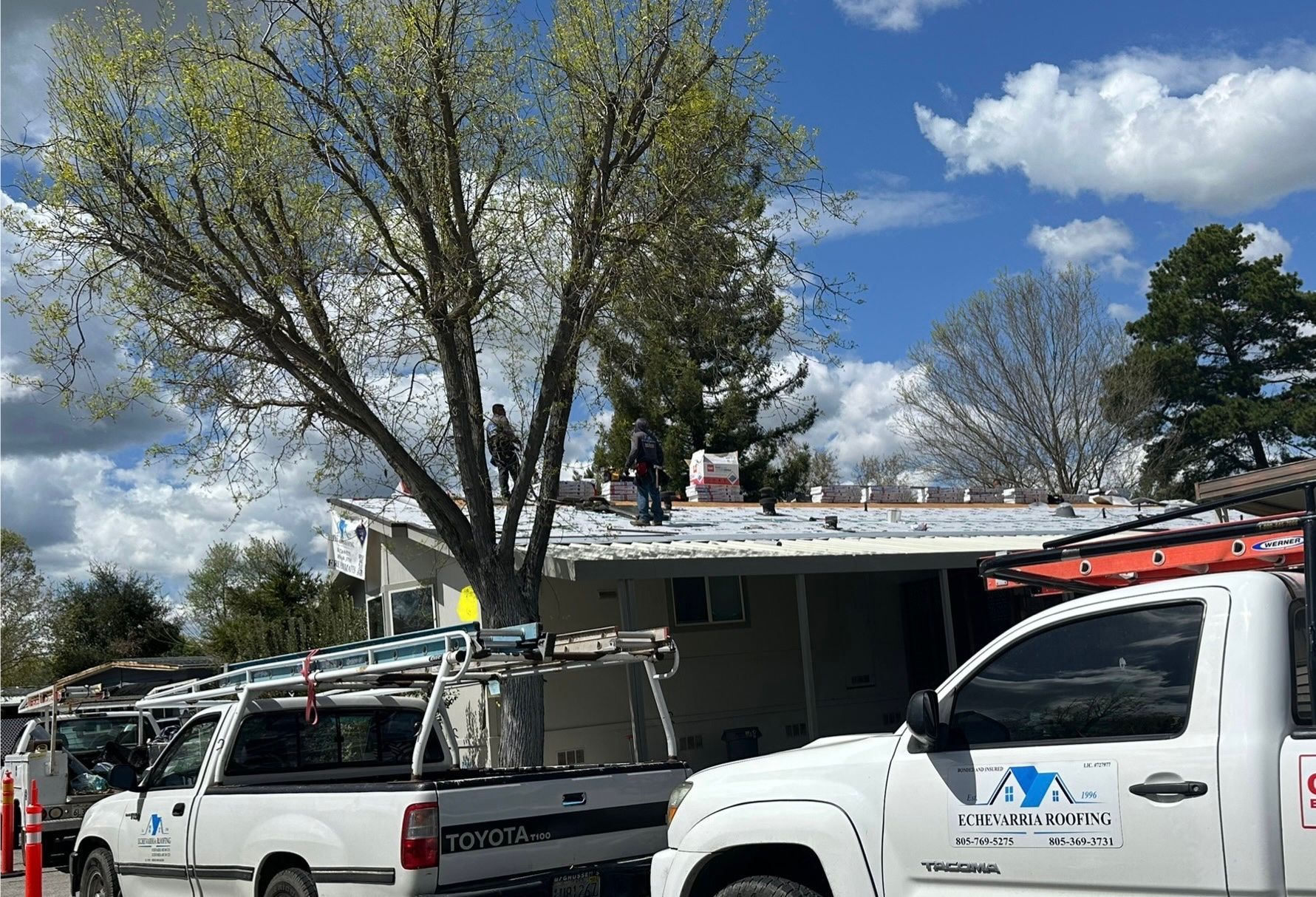 Two white trucks are parked in front of a house.