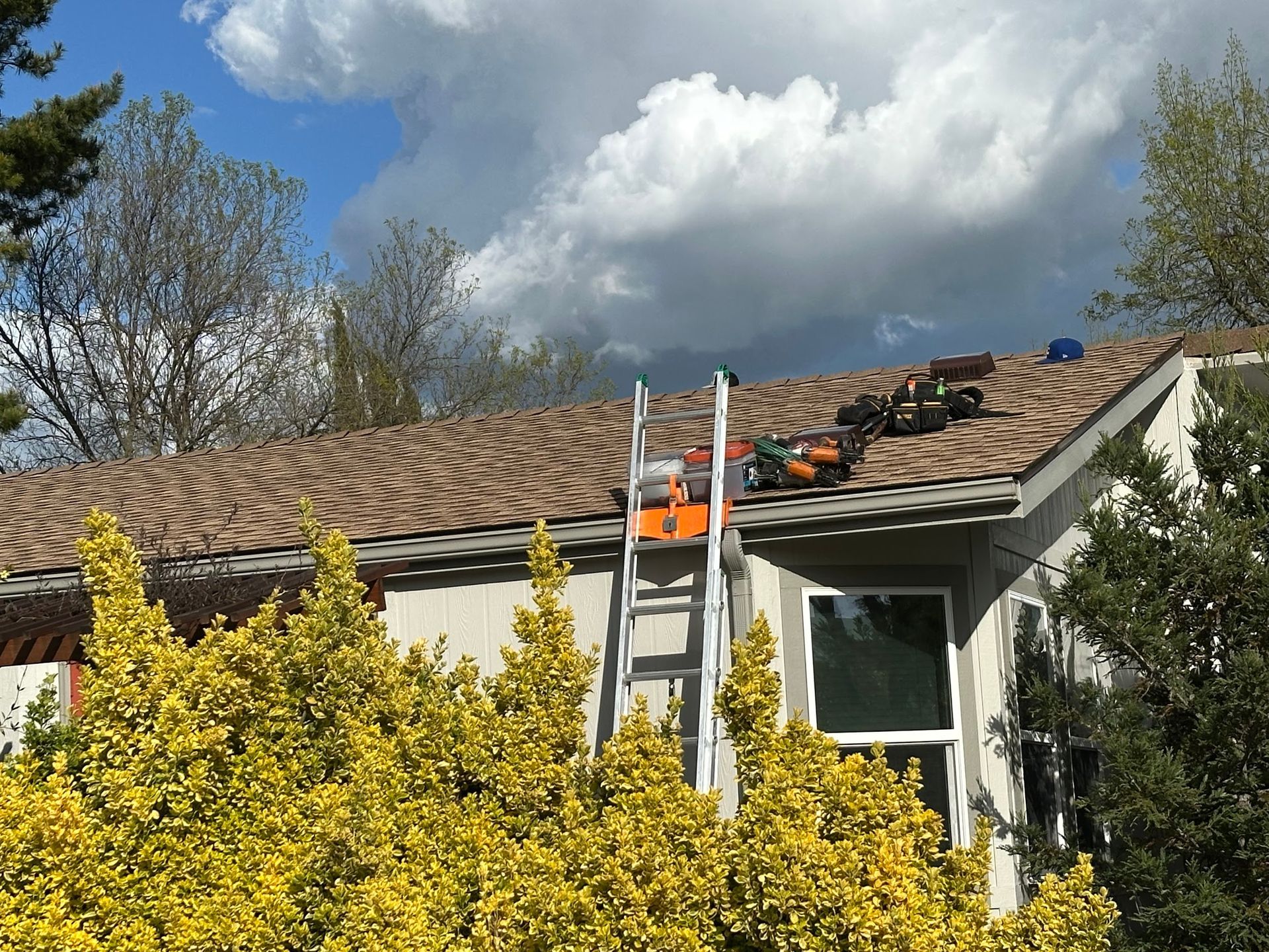 A ladder is sitting on the roof of a house.
