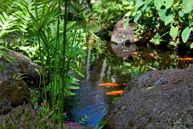 441 Kahala Beach | Honolulu, HI