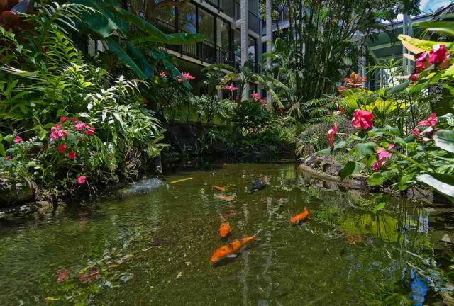 446 Kahala Beach | Honolulu, HI