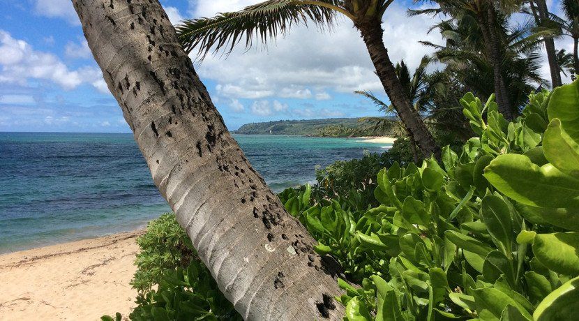 61-7536 Papailoa Road