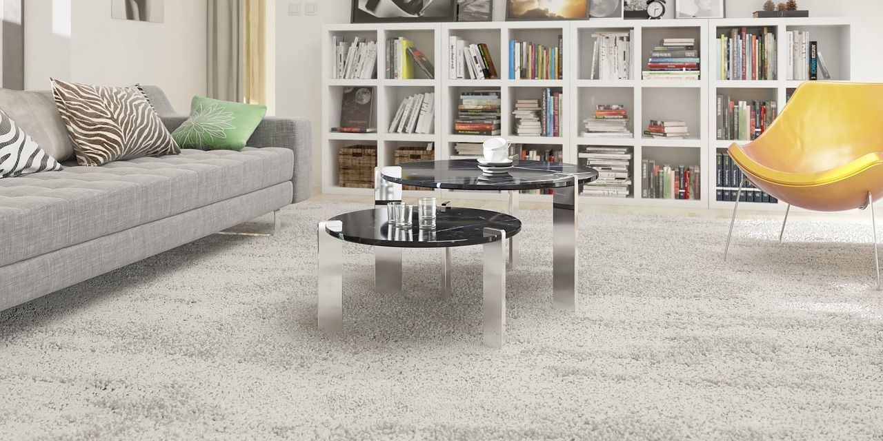 a living room with a couch chair coffee table carpet and bookshelf