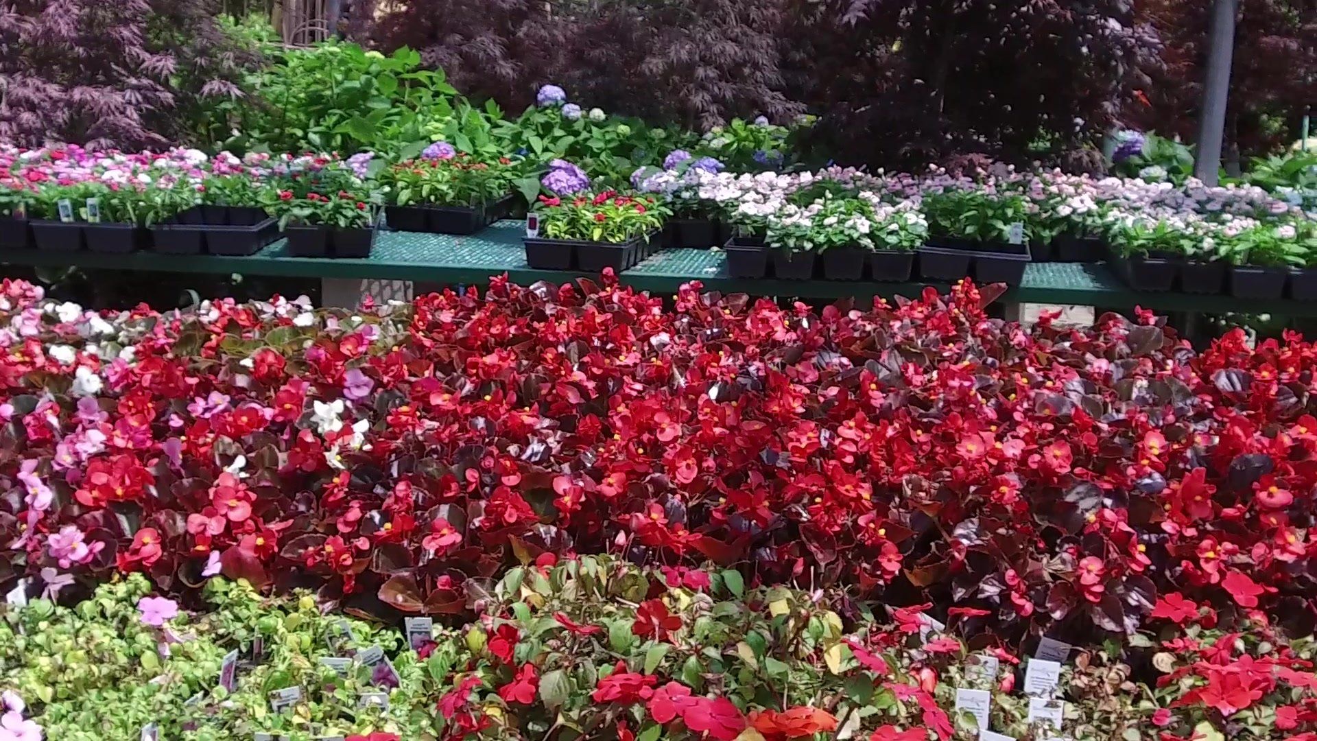 Garden Designers & Landscaping Center | Garden Center Homer Glen & Hinsdale
