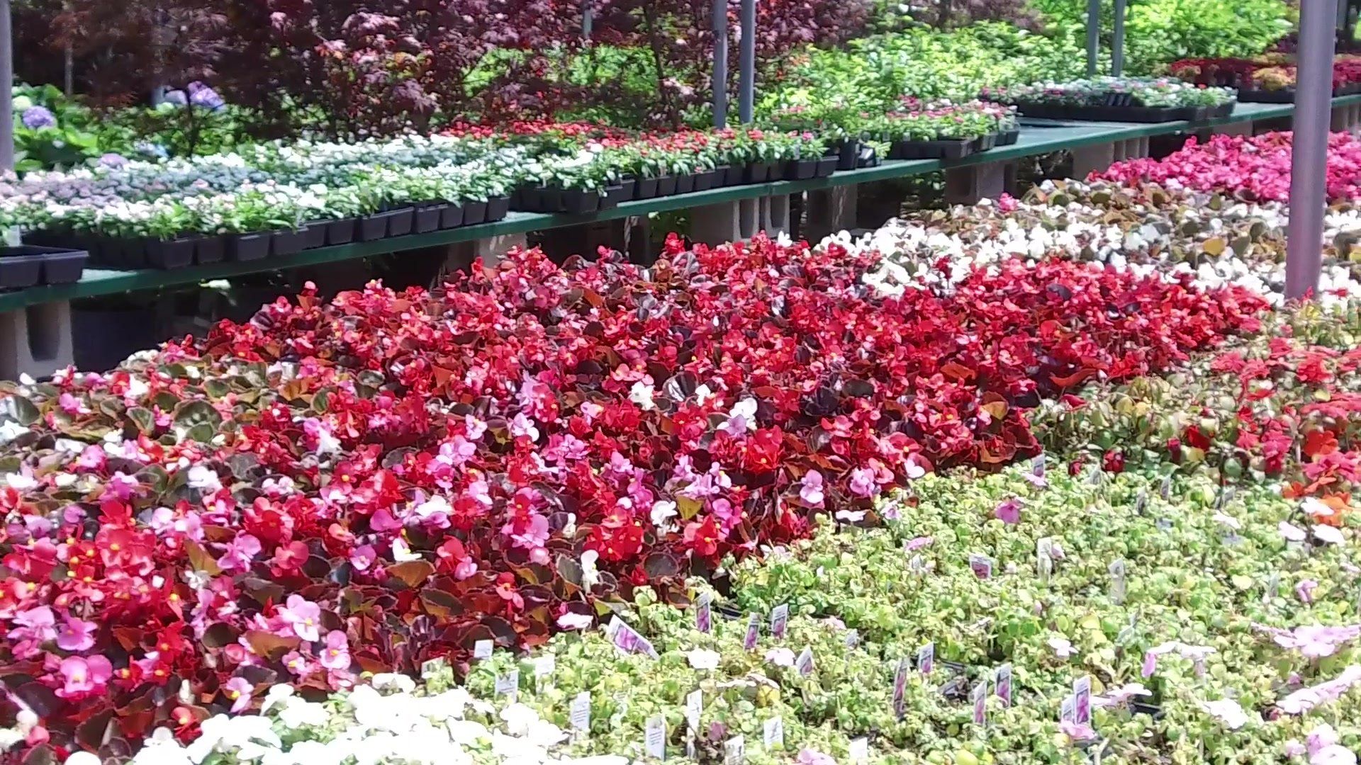 Garden Designers & Landscaping Center | Garden Center Homer Glen & Hinsdale