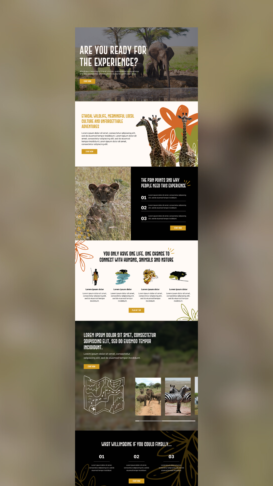 safari homepage design wireframe